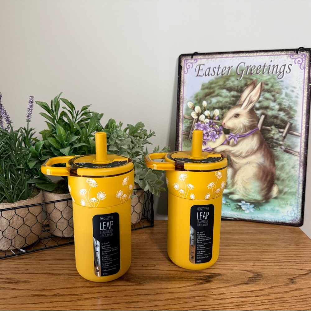 Set of 2 ! NEW Brumate 12oz Sun Daisy Leap Tumbler! Limited Edition **